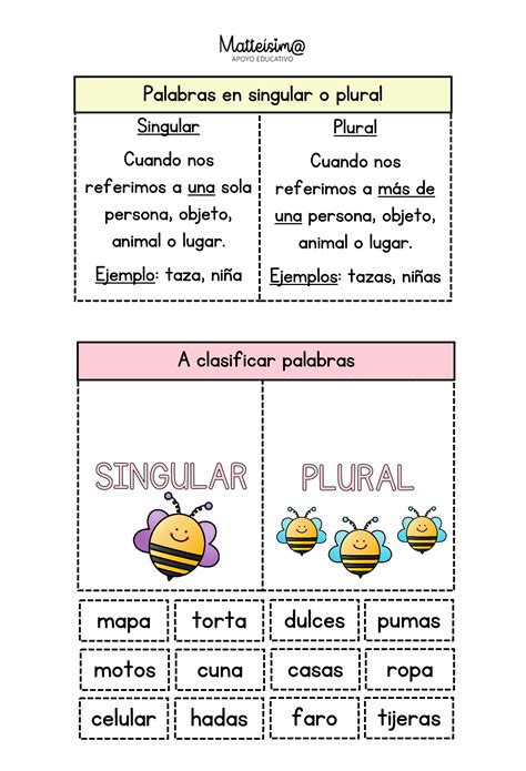 Singular Y Plural