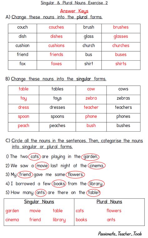 Download Singular And Plural Exercises With Answers Pdf 