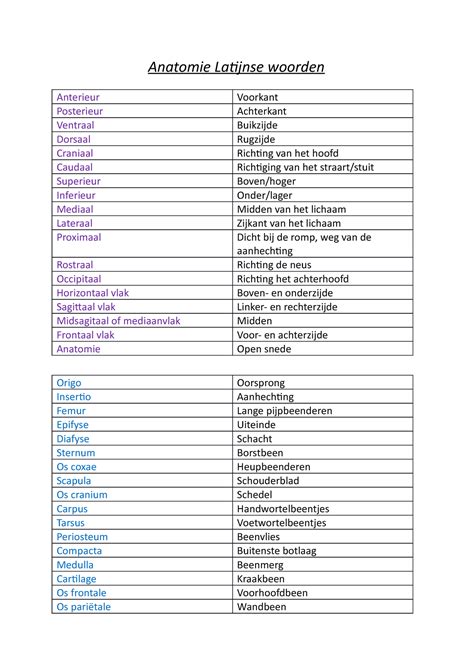 sinister latijnse vertaling