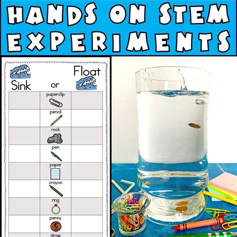 sink and float kindergarten rubric