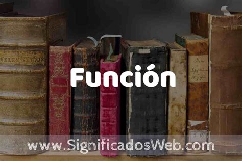 Sinonimo De Funcion