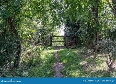 nature photo by Jalon Greenfelder