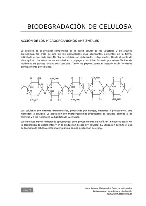 sintesis de celulosa pdf