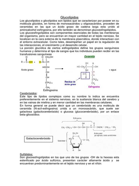 sintesis de glucolipidos pdf