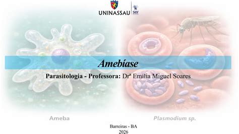 Sintomas De Amebíase