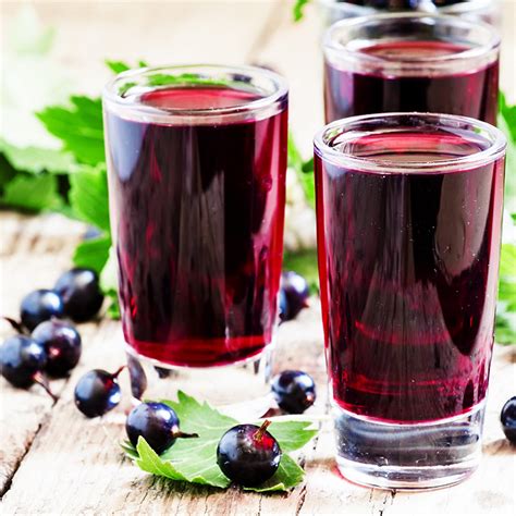 sirop de cassis biography