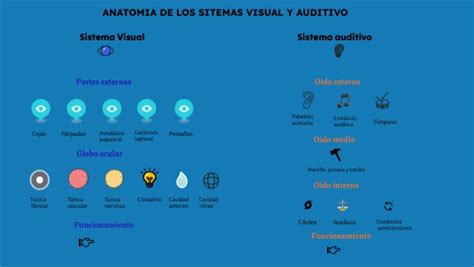 Sitemas De Represntacion Visual