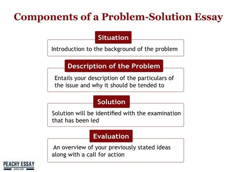 Situation Problem Solution Evaluation Essay Example
