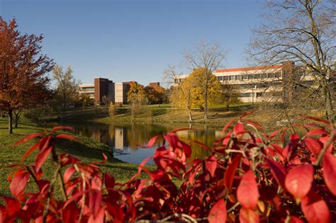 siue illinois