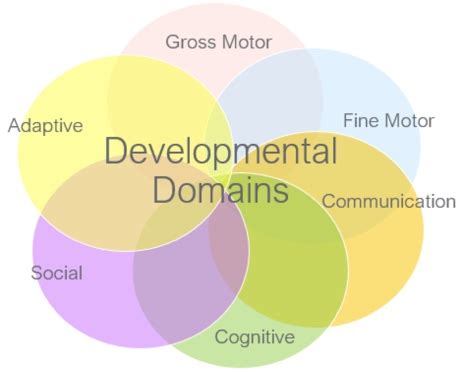 six developmental domains