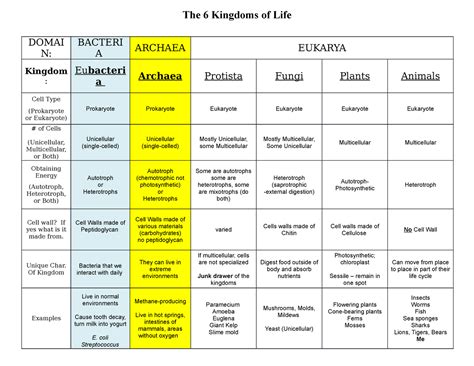 Six Kingdom Classification Chart Answer Key