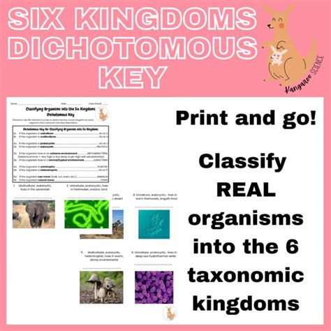 Six Kingdoms Dichotomous Key Answer Sheet