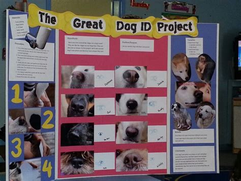 Sixth Grade Experiment With Animal Behavior Science Projects Science Experiment On Animals - Science Experiment On Animals