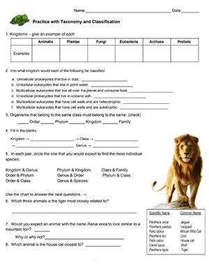 Sixth Grade Grade 6 Taxonomy Questions For Tests Six Kingdoms Of Life Worksheet Answers - Six Kingdoms Of Life Worksheet Answers