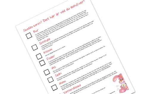 skaffa kanin checklista