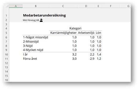 skapa åldersintervall excel