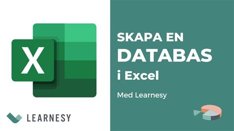 skapa databas i excel