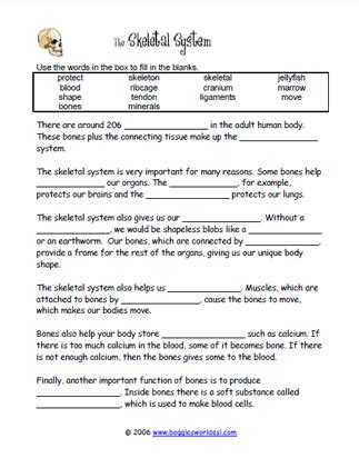 Skeletal System Cloze Answer Key