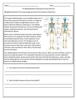 skeletal system comprehension