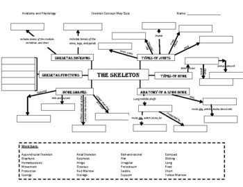Skeletal System Concept Map Answers