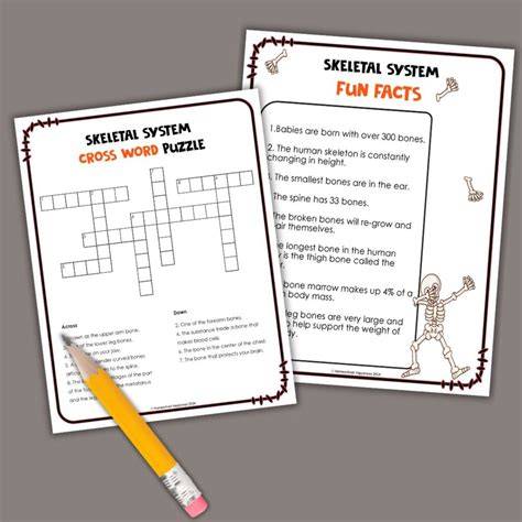 skeletal system cross word puzzles