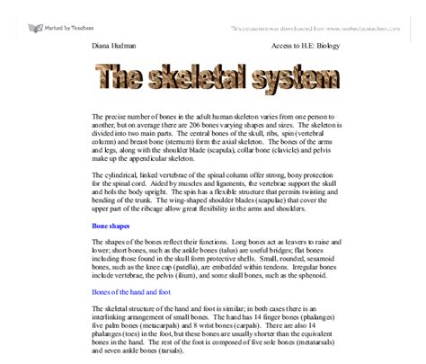Skeletal System Essay The Quay House Skeletal And Muscular System Worksheet Answers - Skeletal And Muscular System Worksheet Answers