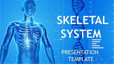 Skeletal System Google Slides Middle School Skeletal System - Middle School Skeletal System