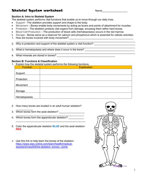 Skeletal System Objective Type Questions Amp Answers Skeletal System Fill In The Blanks - Skeletal System Fill In The Blanks