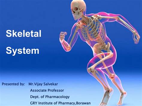 Skeletal System Ppt