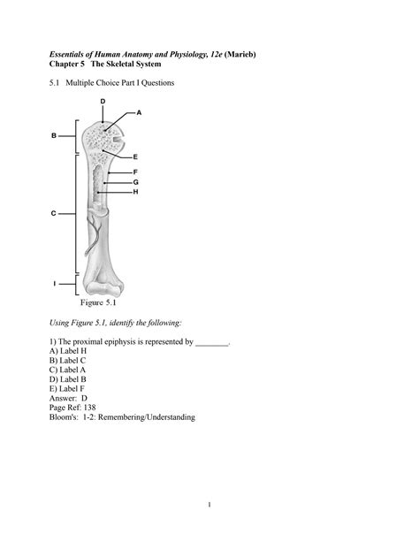 Read Online Skeletal System Chapter Test 