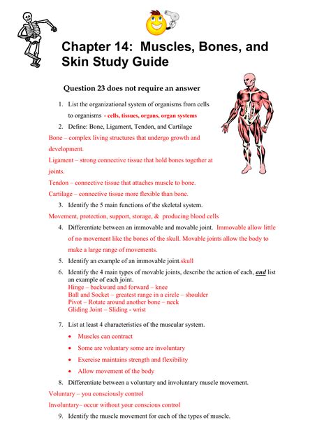 Read Skeletal System Study Guide Answers 