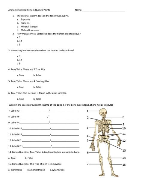 Read Online Skeletal System Test And Answers 