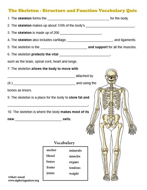 Read Online Skeletal System Test And Answers 