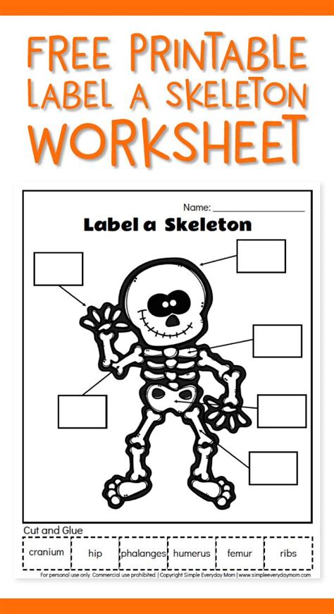 Skeleton Activities For Kindergarten Teaching Resources Tpt Skeleton Activity For Kindergarten - Skeleton Activity For Kindergarten