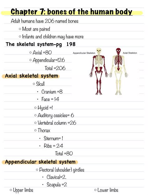 Skeleton Notes Chapter 13 Section 4 America Enters The War