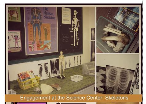 Skeleton Science In Kindergarten Kindergarten Kiosk Skeleton Worksheets For Kindergarten - Skeleton Worksheets For Kindergarten