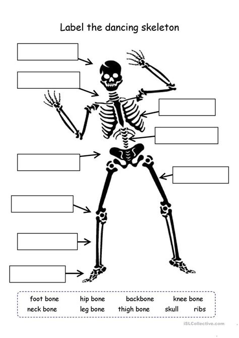 Skeleton Worksheet For Kindergarten Living Life And Learning Skeleton Worksheets For Kindergarten - Skeleton Worksheets For Kindergarten