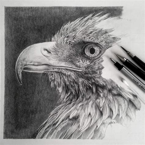 sketch photos
