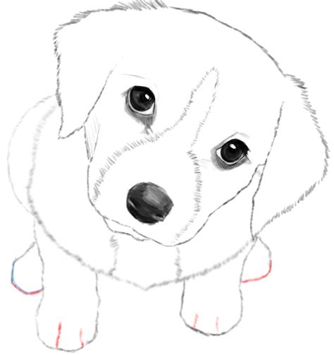 sketch videoss
