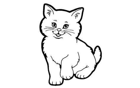 sketsa kucing