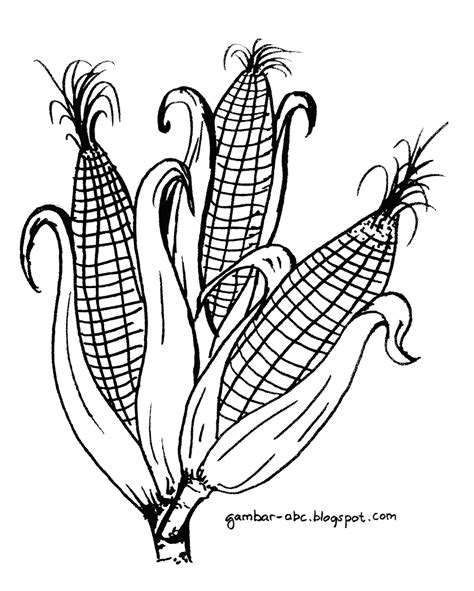 sketsa tanaman jagung
