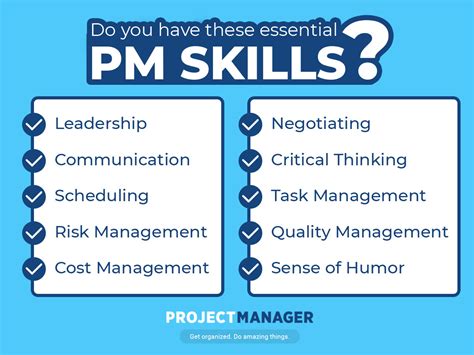skill project manager