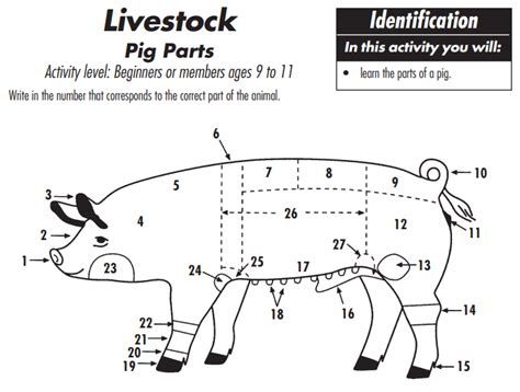 Skillathon Practice Test For Swine