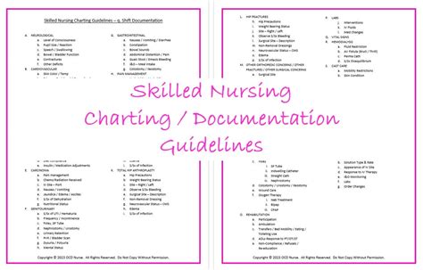 Read Online Skilled Nursing Documentation 