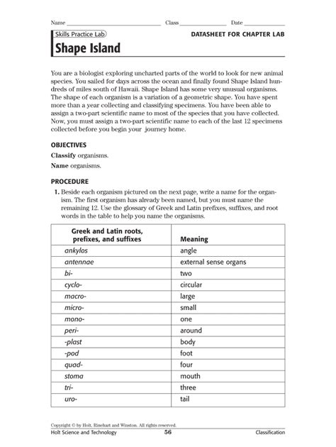 Skills Practice Lab Shape Island Answer Key
