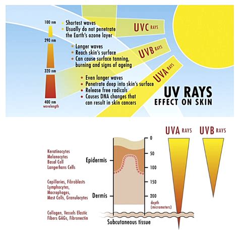 Skin Protection From Solar Ultraviolet Radiation Using Natural Sunscreen Science - Sunscreen Science