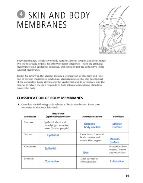 Full Download Skin And Body Membranes Chapter 4 