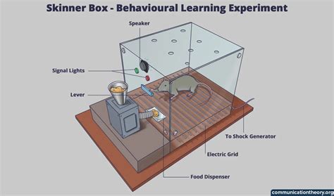 Skinner Operant Conditioning