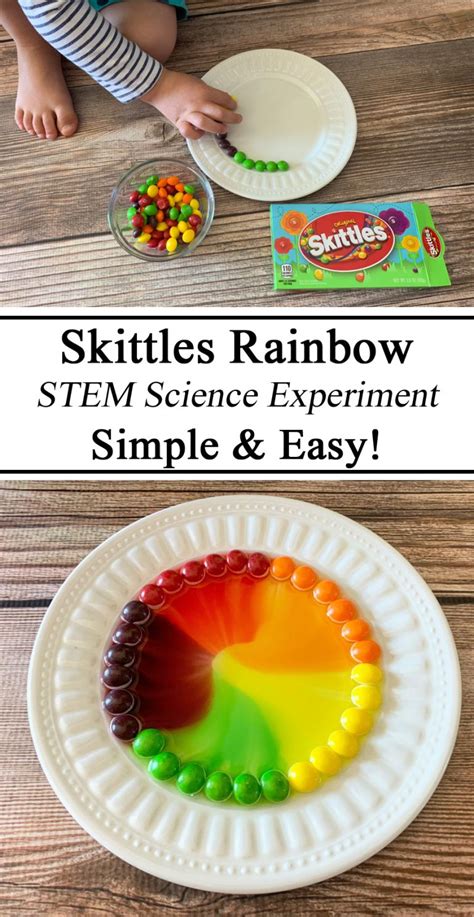 Skittles Rainbow Science Experiment For Preschoolers My Pre Rainbow Science Experiment Preschool - Rainbow Science Experiment Preschool