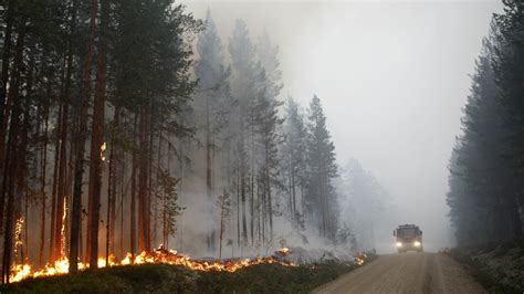 skogsbränder sverige